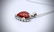 Sterling Silver Necklace and Heart Shaped Jasper - 3