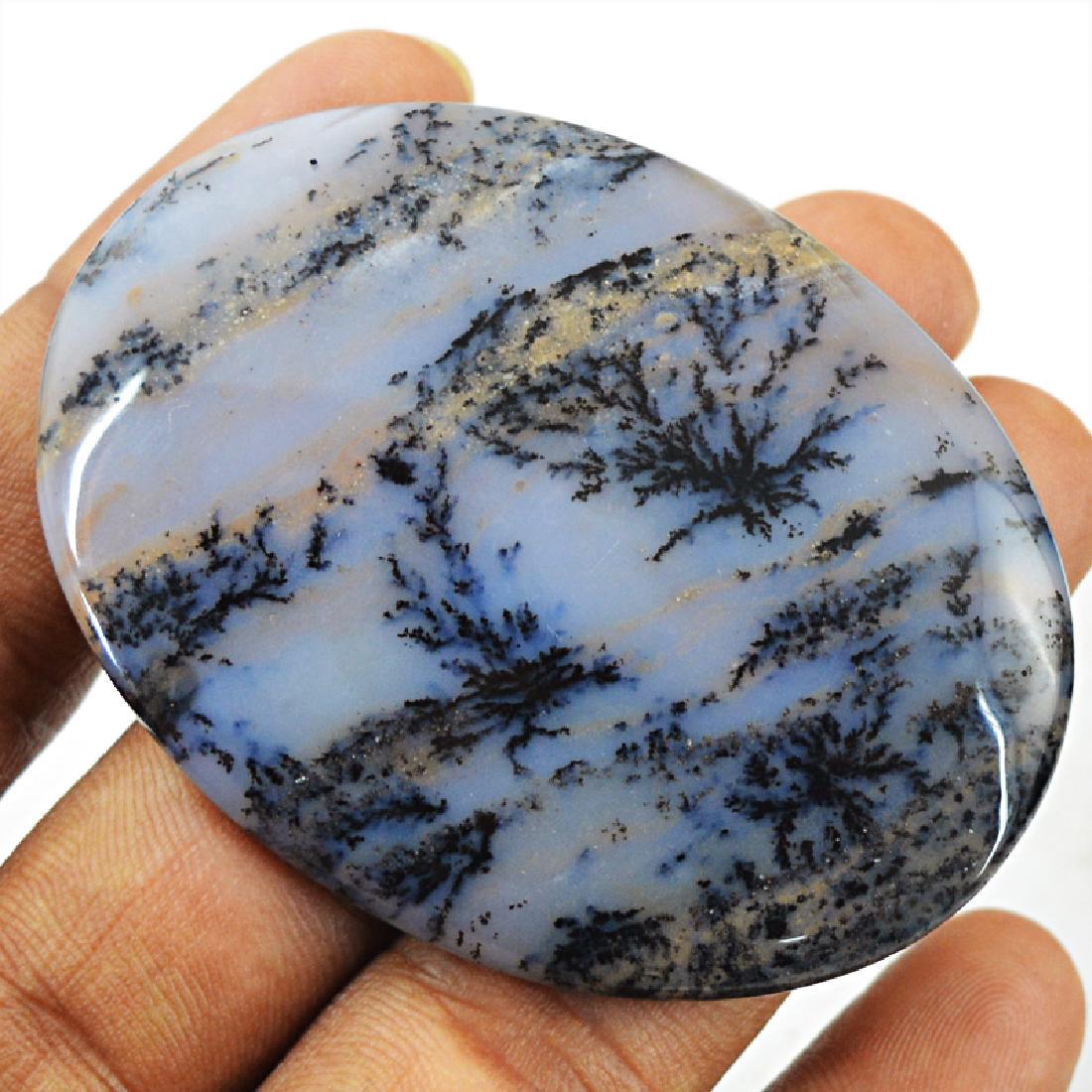 Dendrite Opal Gem - Oval Shape (1 of 2)
