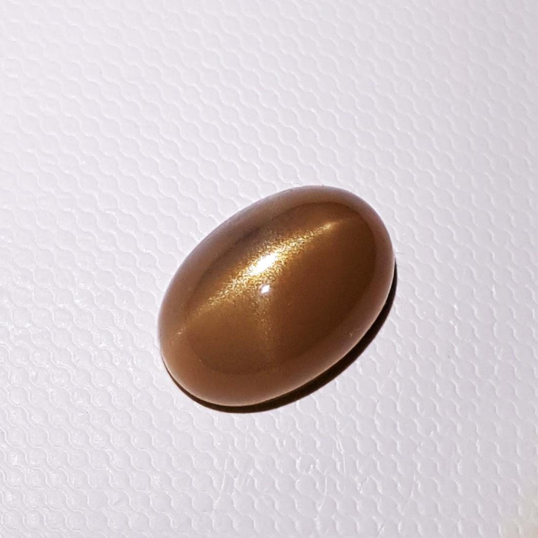 Chocolate Moonstone Cat's Eye - 7.14 ct (1 of 4)