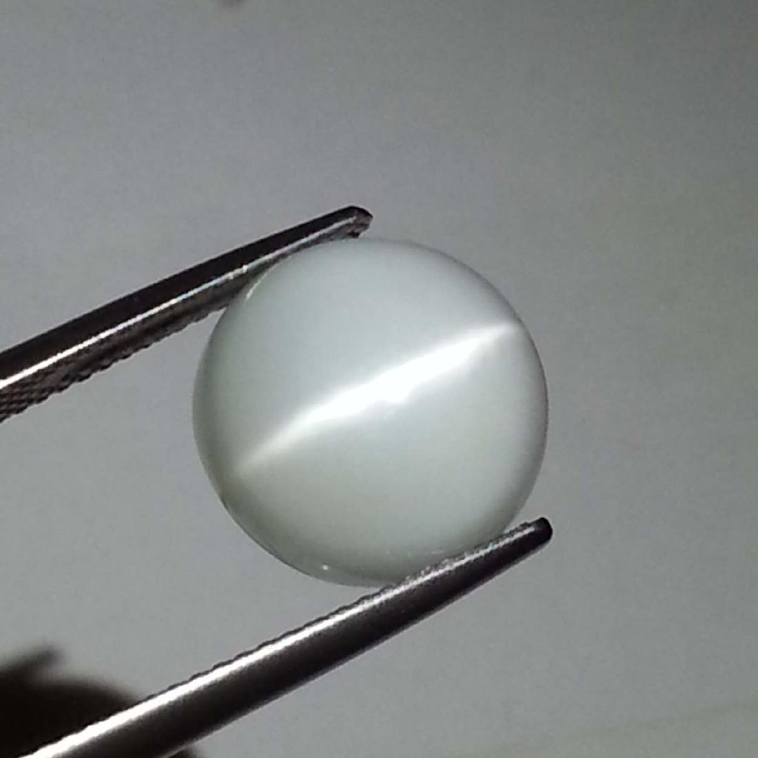 Gray Moonstone Cat's Eye - 6.75 ct: Item: Gray Moonstone Cat's Eye - 6.75 ct Loose gemstone Color/Clarity: VVS Carat Weight: 6.75 Size (mm)12.60 x 12.50 x 6.00 Round - India No Reserve: This lot starts at $1 and has no reserve as a cour