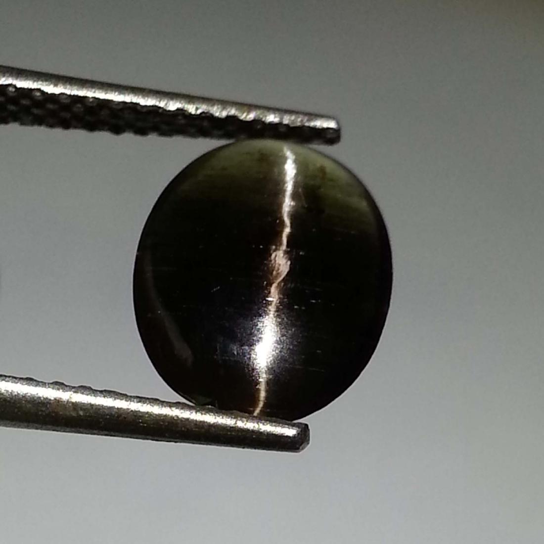 Sillimanite Cat's Eye - 1.78 ct: Item: Sillimanite Cat's Eye - 1.78 ct Loose gemstone Color/Clarity: Opaque Carat Weight: 1.78 Size (mm)10.00 x 8.00 x 2.42 Oval - Africa No Reserve: This lot starts at $1 and has no reserve as a court