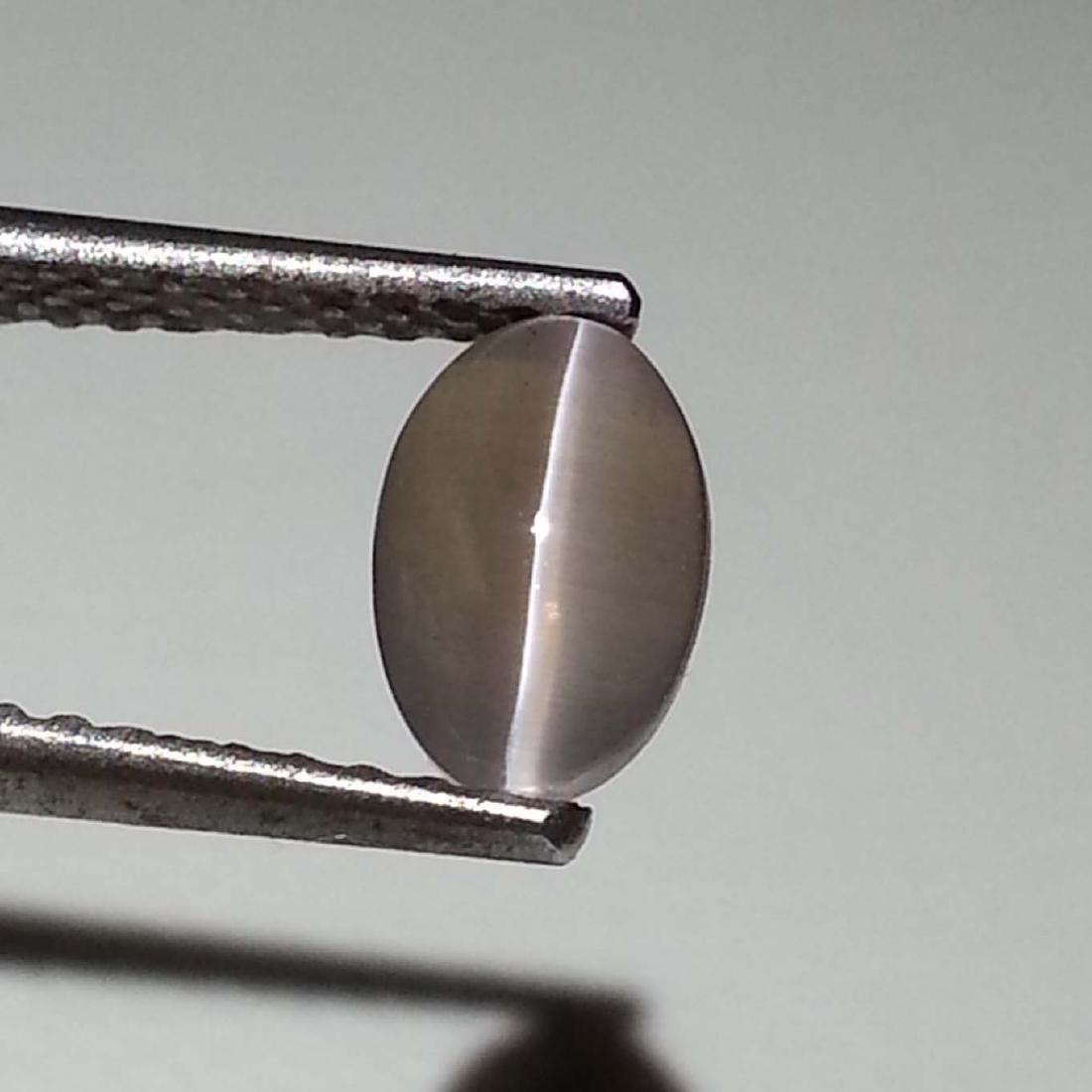 Excellent Eye Sillimanite Cat's Eye - 0.83 ct: Item: Excellent Eye Sillimanite Cat's Eye - 0.83 ct Loose gemstone Color/Clarity: Transparent Carat Weight: 0.83 Size (mm)6.17 x 4.15 x 3.25 Oval - Africa No Reserve: This lot starts at $1 and has no 