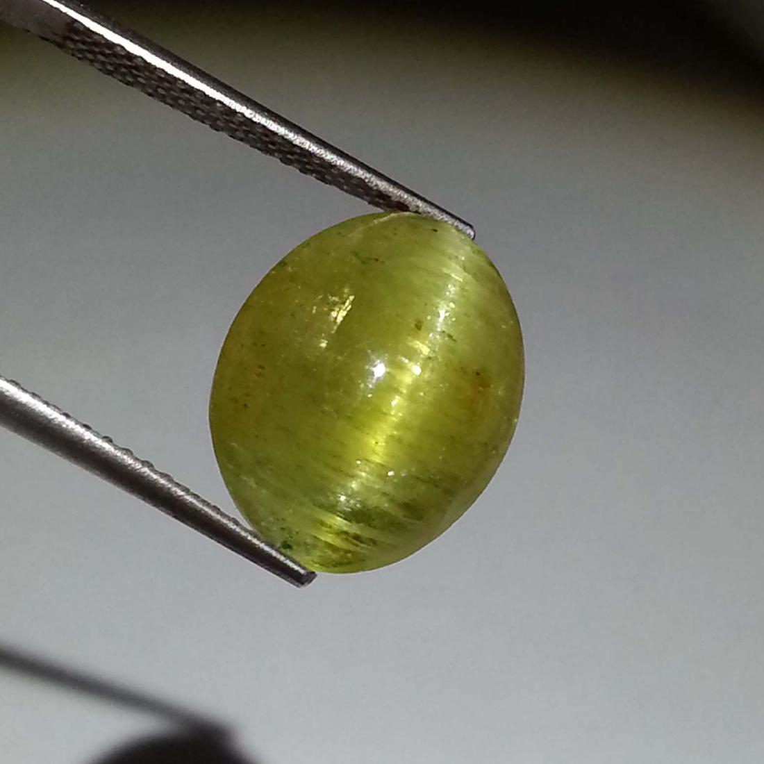 Apatite cat's Eye - 8.21 ct: Item: Apatite cat's Eye - 8.21 ct Loose gemstone Color/Clarity: Semi -Transparent Carat Weight: 8.21 Size (mm)13.80 x 11.00 x 6.90 Oval - Jharkhand No Reserve: This lot starts at $1 and has no reserve