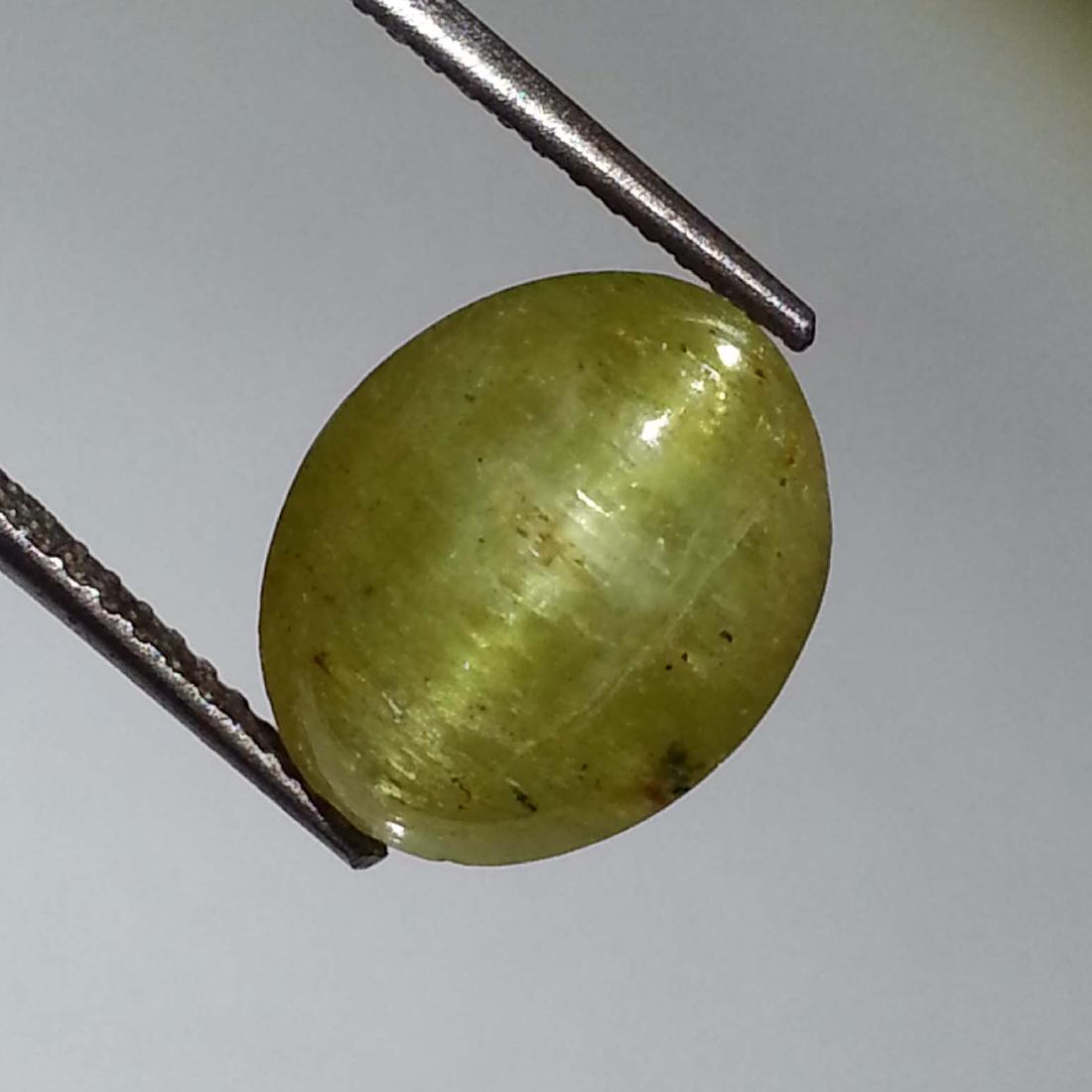 Exclusive Apatite cat's Eye - 6.62 ct: Item: Exclusive Apatite cat's Eye - 6.62 ct Loose gemstone Color/Clarity: Semi -Transparent Carat Weight: 6.62 Size (mm)11.50 x 9.45 x 6.95 Oval - Jharkhand No Reserve: This lot starts at $1 and has n