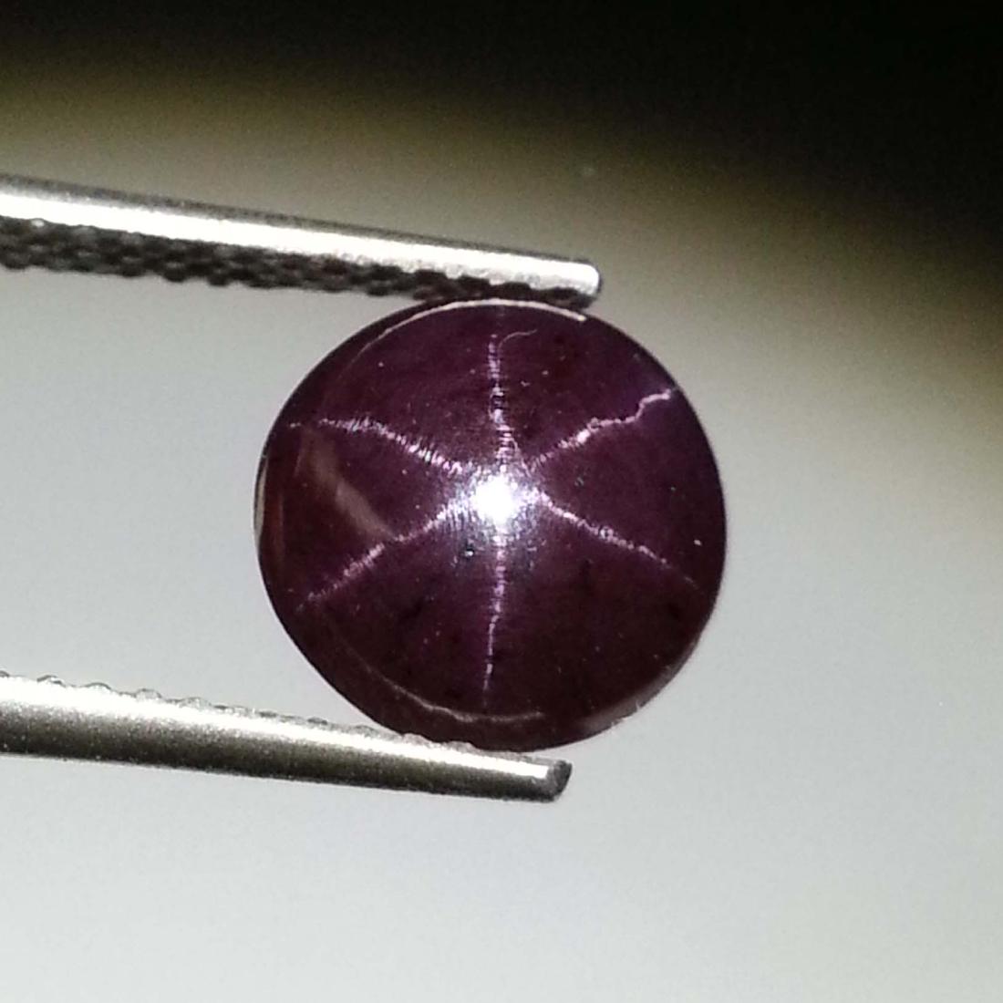 Top Grade Star Garnet - 3.39 ct (1 of 4)