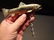 Solid Brass Fish Wine Bottle Corkscrew