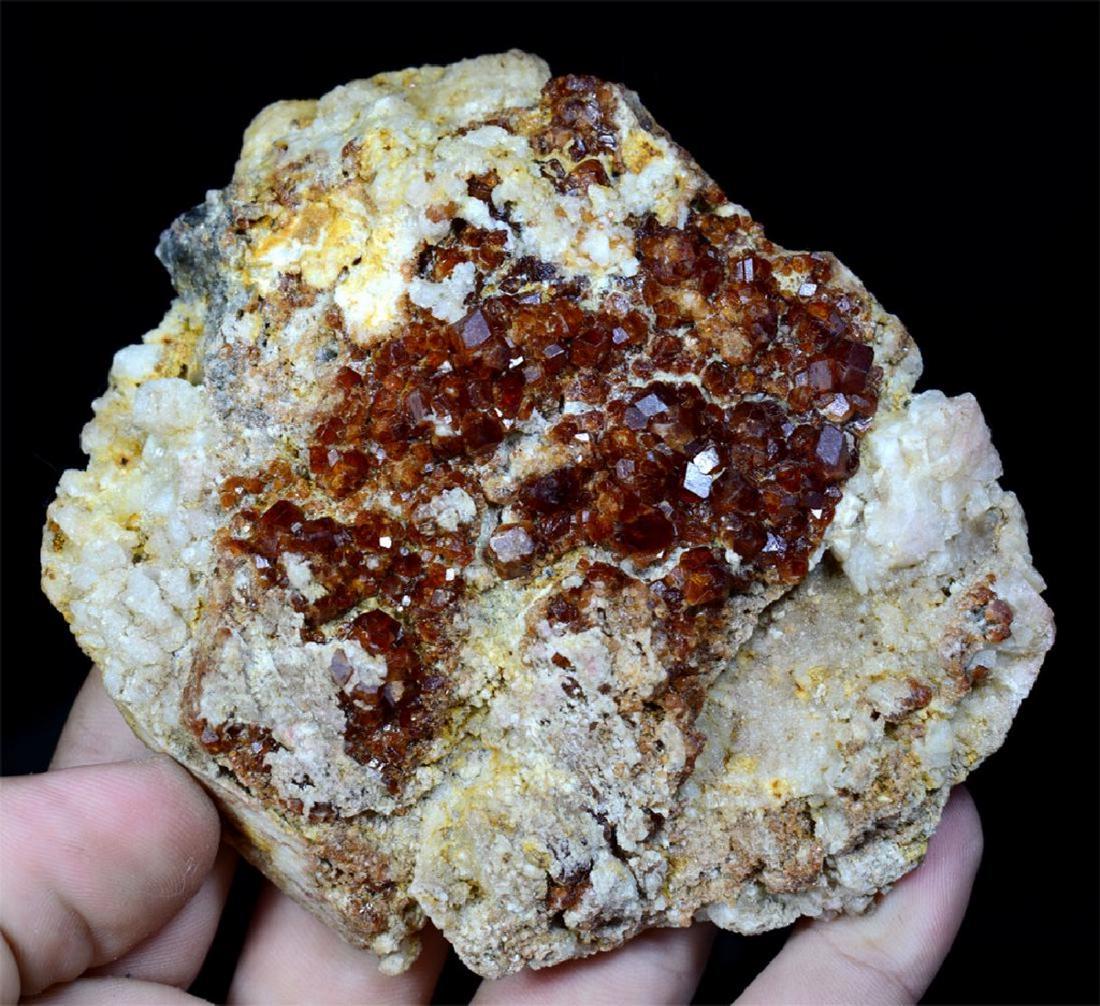Plate Shape Garnet Specimen (1 of 3)