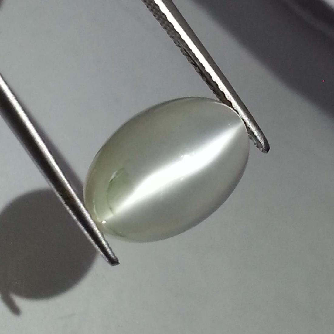 Natural Moonstone Cat's Eye- 6.22 ct: Item: Natural Moonstone Cat's Eye- 6.22 ct Color/Clarity: VVS Loose gemstone Carat Weight: 6.22 Size (mm): 13.35 x 9.30 x 6.60 Oval - Srilanka No Reserve: This lot starts at $1 and has no reserve as a