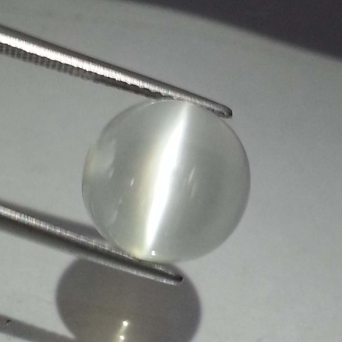 Fantastic Natural Moonstone Cat's Eye- 5.98 ct: Item: Fantastic Natural Moonstone Cat's Eye- 5.98 ct Color/Clarity: VVS Loose gemstone Carat Weight: 5.98 Size (mm): 11.70 x 11.60 x 6.20 Round - Srilanka No Reserve: This lot starts at $1 and has no