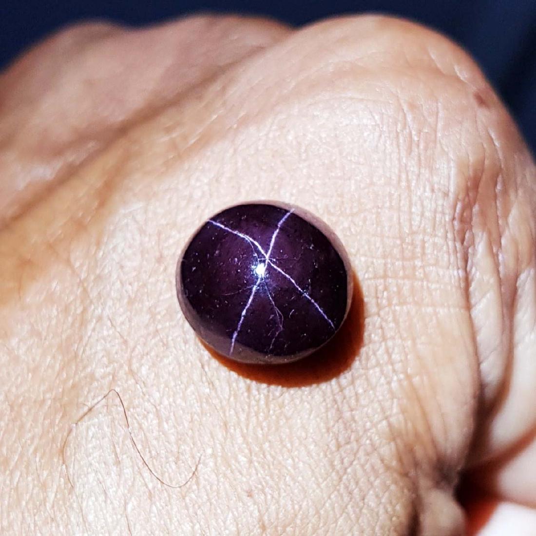 Fantastic Natural Four Ray Star Garnet - 13.73 ct (1 of 4)