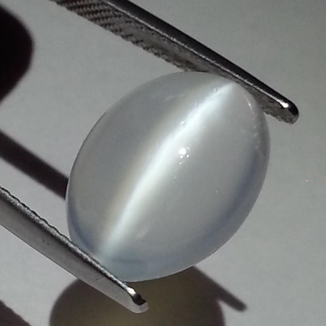 Beautiful Moonstone Cat's Eye - 6.18 ct: Item: Beautiful Moonstone Cat's Eye - 6.18 ct Color/Clarity: IF - VVS Loose gemstone Carat Weight: 6.18 Size (mm): 15.00 x 11.40 x 6.40 Oval - Srilanka No Reserve: This lot starts at $1 and has no res