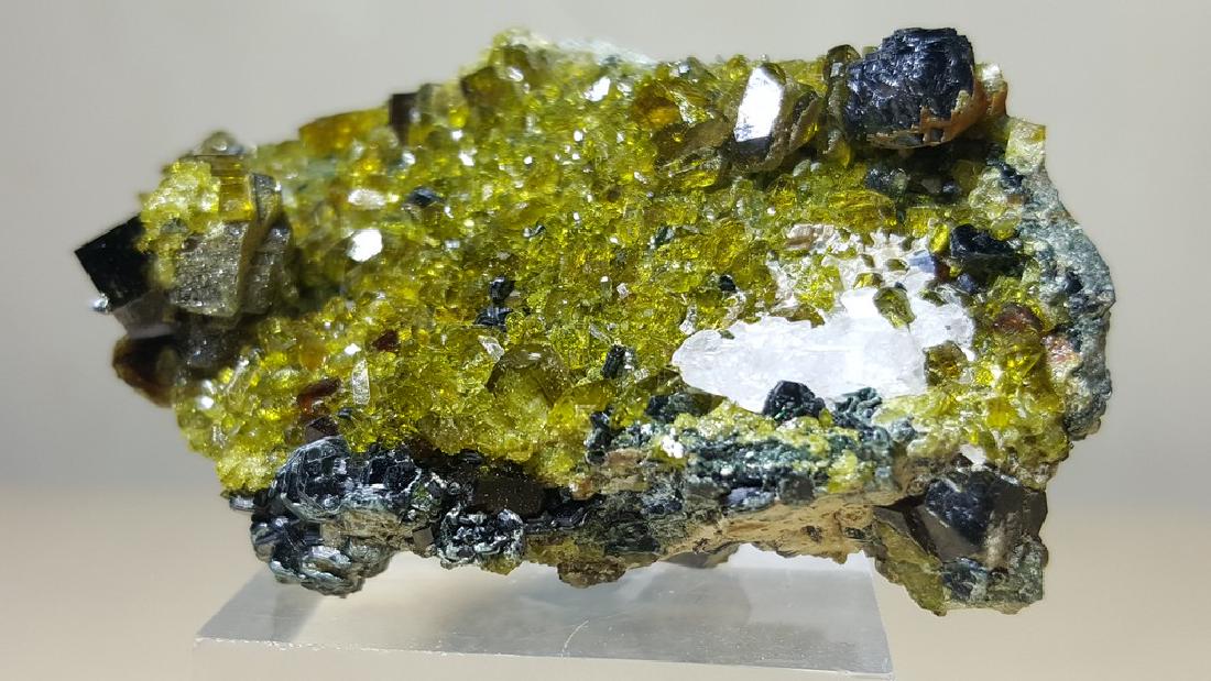 39.9 Grams Top Quality Magnitite - Garnet & Calcite (1 of 4)