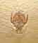 Outstanding fossil from Solnhofen : Eryon arctiformis - 2