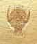 Outstanding fossil from Solnhofen : Eryon arctiformis - 3