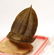 Huge flying trilobite with yellow eyes : Zlichovaspis - 3