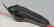 Fossil trilobite with free standing spine: Morocconites - 2
