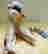item-64023229=2