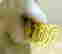 item-64023229=4