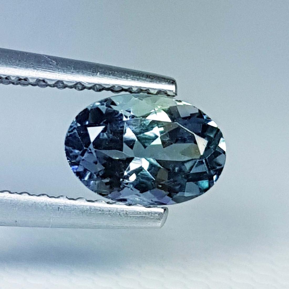 Natural Ziosite(Tanzanite) - 1.12 ct (1 of 1)