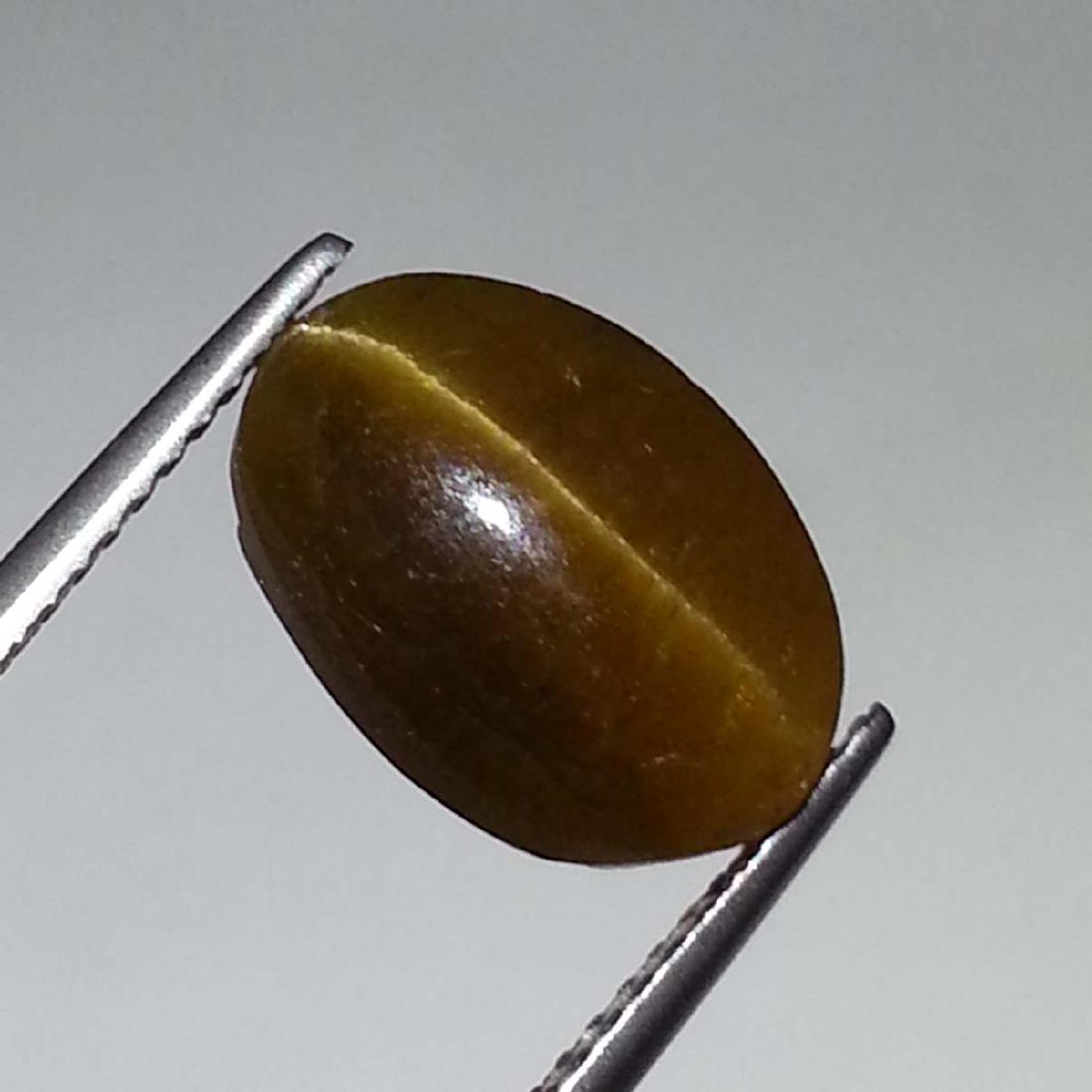 Top Quality Glowing Honey Natural Apatite cat's Eye -: Item: Top Quality Glowing Honey Natural Apatite cat's Eye - 6.87 ct Color/Clarity: Opaque Loose gemstone Carat Weight: 6.87 Size (mm): 12.80 x 9.10 x 6.30 Oval - Africa No Reserve: This lot starts at 
