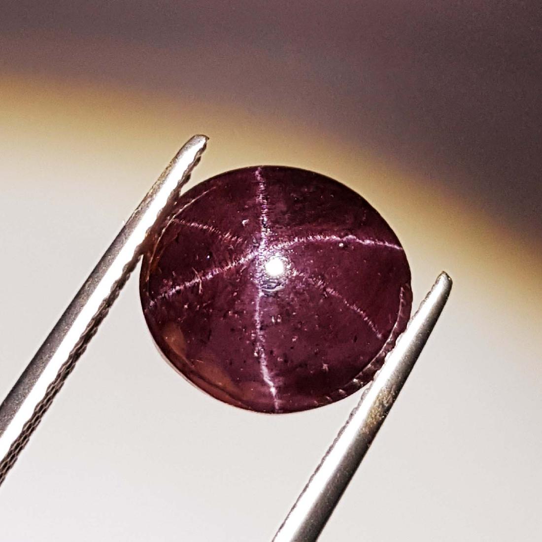 Excellent l Six Ray Natura Star Garnet - 9.29 ct (1 of 1)