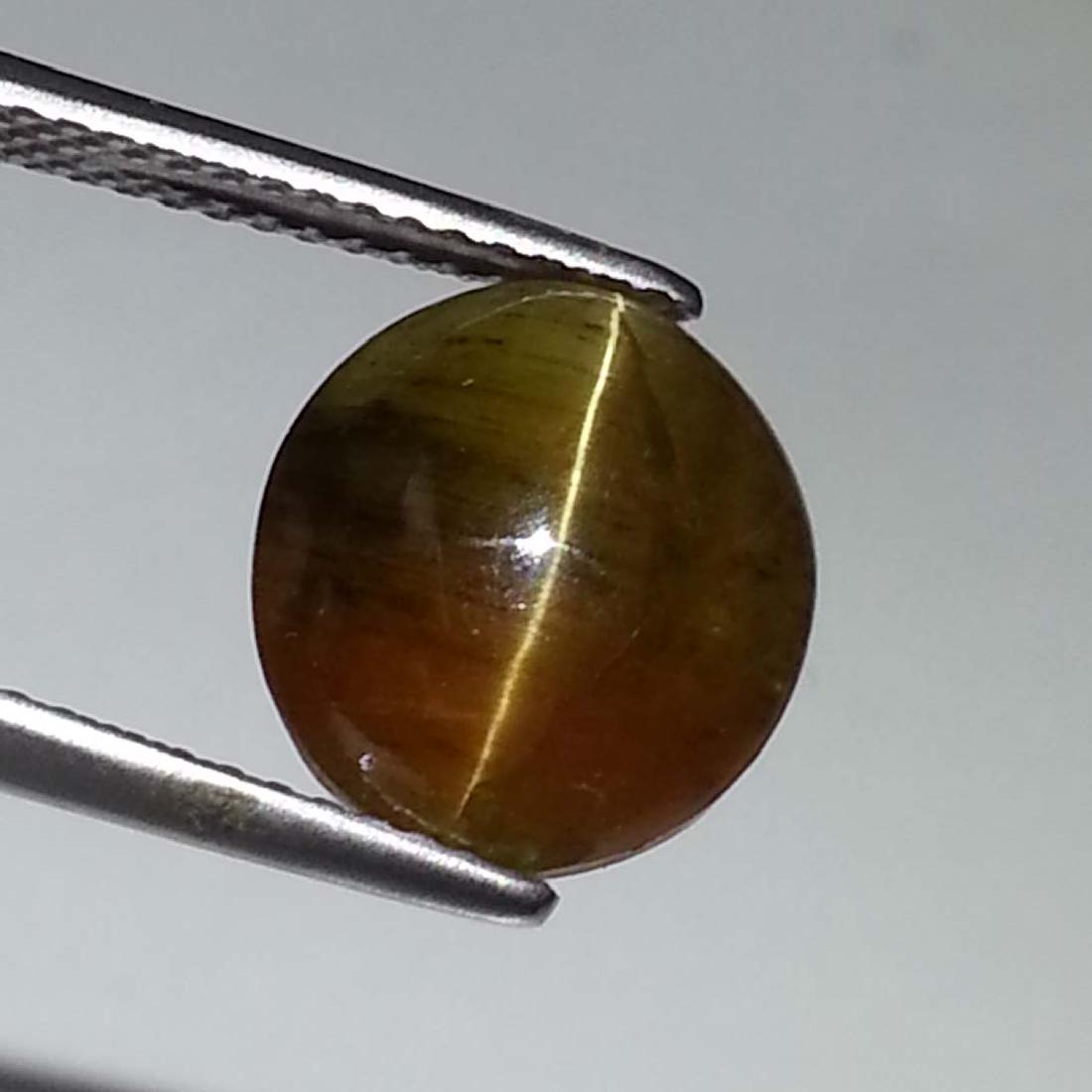 Exclusive Glowing Honey Natural Apatite cat's Eye -: Item: Exclusive Glowing Honey Natural Apatite cat's Eye - 5.96 ct Color/Clarity: Opaque Loose gemstone Carat Weight: 5.96 Size (mm): 11.20 x 10.10 x 6.00 Oval - Africa No Reserve: This lot starts at $