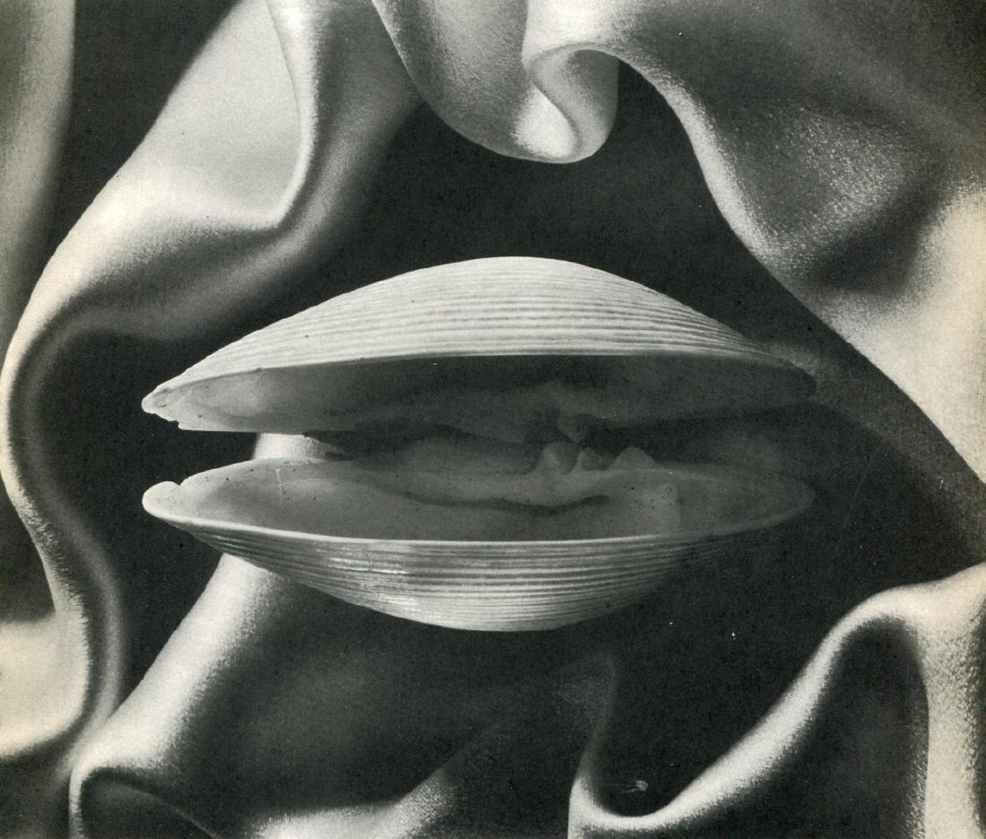 RUTH BERNHARD - Mullusk: Artist: RUTH BERNHARD Print Title: Mullusk Medium: Photoengraving Printed in USA in 1937 Image Size approx: 7 x 8” Ruth Bernhard (1905 – 2006), was a legendary San Francisco photographer who captu