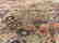 Kashmiri Silk Rug 9x12 - 8