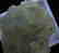 Apple green Prehnite - 3