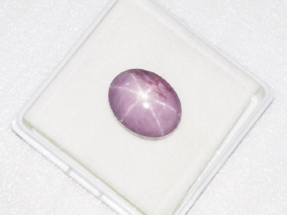 24.19 ct Natural Oval Star Ruby (1 of 2)