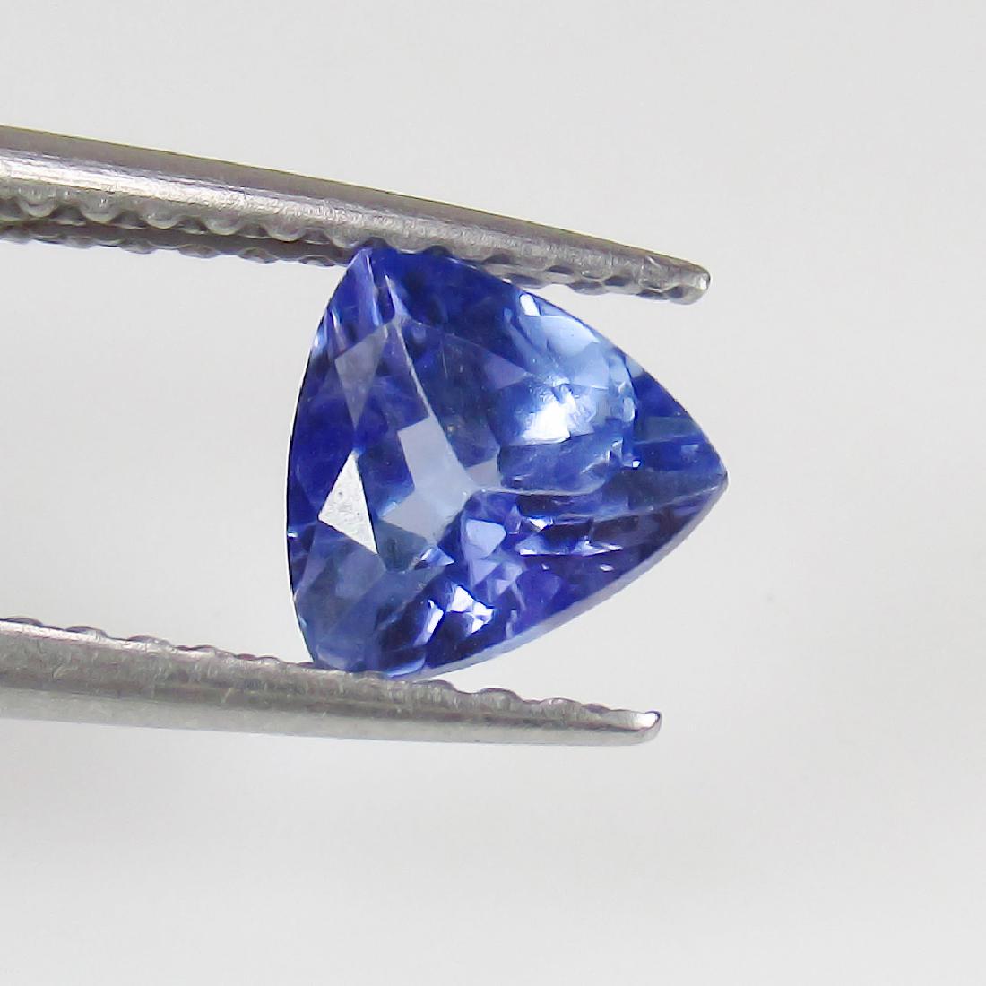 0.75 Ct Genuine Loose Natural Tanzanite Trillion cut (1 of 2)