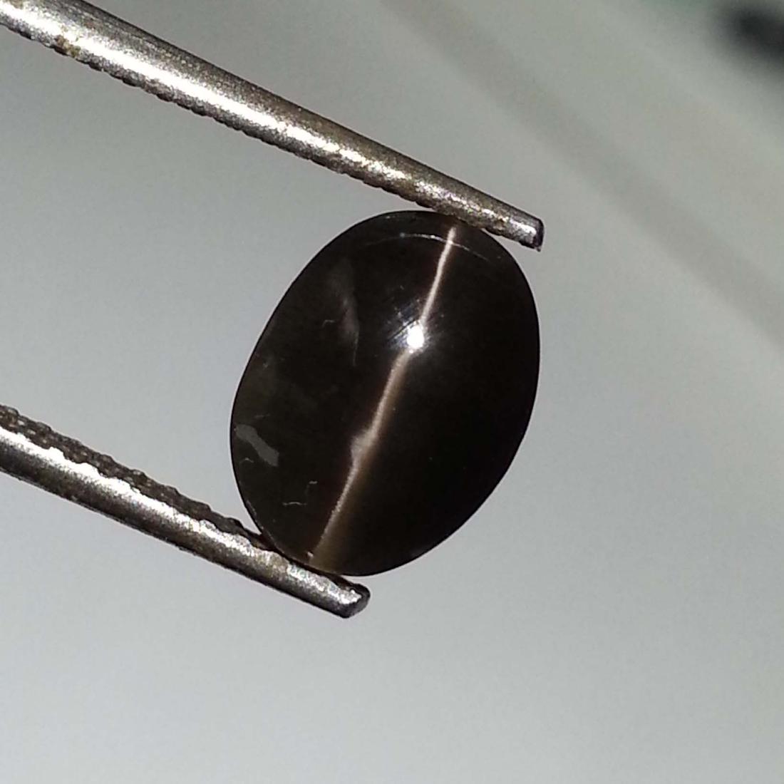 Fantastic Natural Sillimanite Cat's Eye - 2.27 ct: Item: Fantastic Natural Sillimanite Cat's Eye - 2.27 ct Color/Clarity: Opaque Loose gemstone Carat Weight: 2.27 Size (mm): 8.25 x 6.10 x 4.48 Oval - Africa No Reserve: This lot starts at $1 and has no