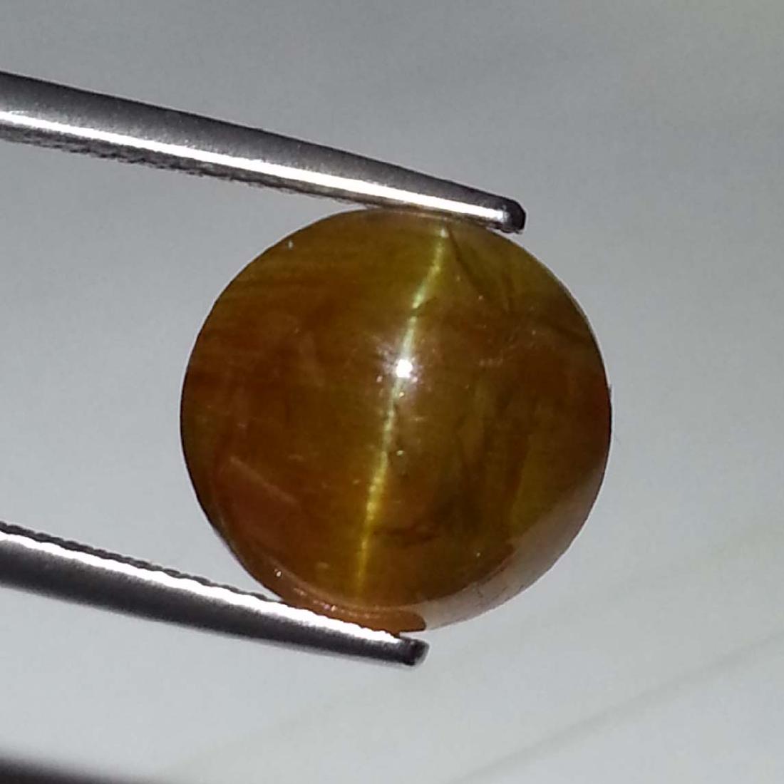 Beautiful Gem Natural Apatite cat's Eye - 9.79 ct (1 of 4)