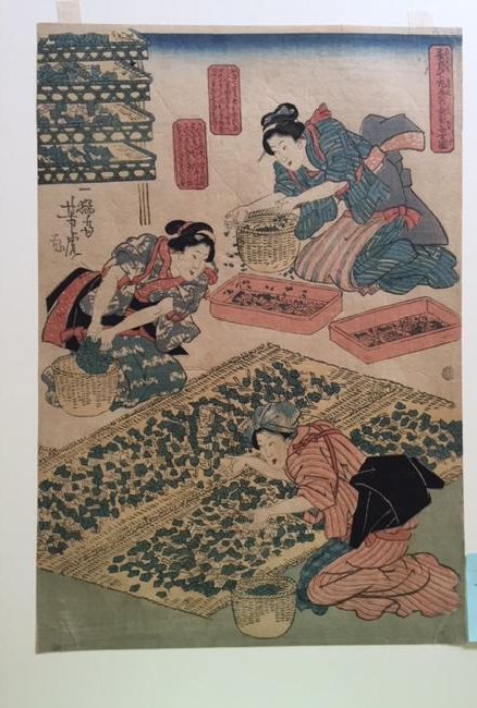 Yoshitora Woodblock Growing Silkworm: Artist: Yoshitora Title: Growing Silkworm Date: c1840 Size: 9 1/2" x 14" Medium: Woodblock print Utagawa Yoshitora was a designer of ukiyo-e Japanese woodblock prints and an illustrator of books and n