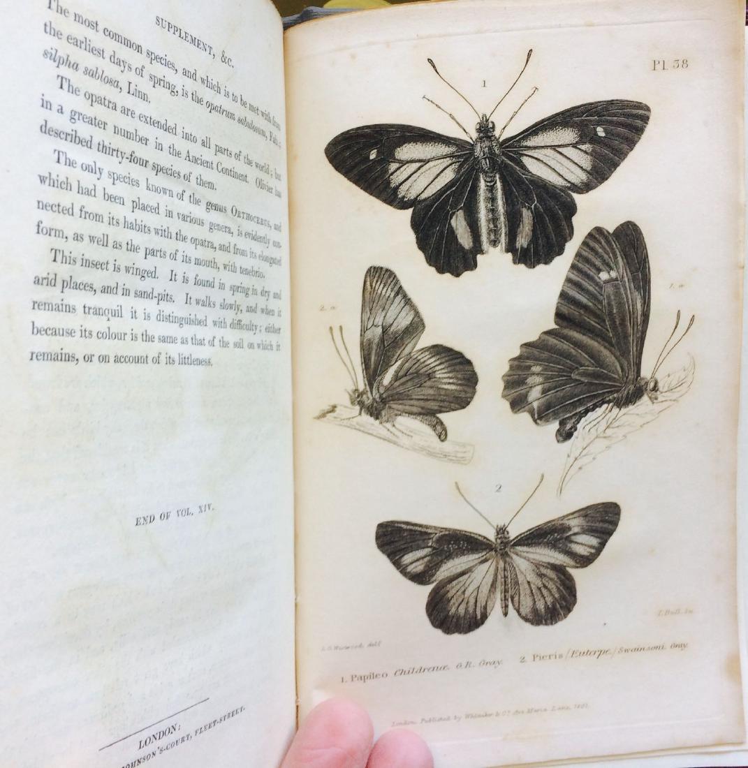1832 Cuvier the Animal Kingdom Vol14 Complete: 48 B/w: The ANIMAL KINGDOM Vol. #14 - CLASS INSECTA by Baron George CUVIER With Supplementary Additions to Each Order by Edward Griffith, Edward Pidgeon, and George Gray The ORIGINAL 1832 English Edition of t