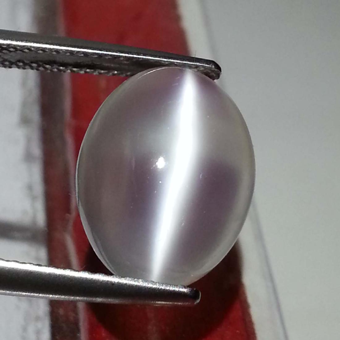 Natural Moonstone Cat's Eye- 6.56 ct: Item: Natural Moonstone Cat's Eye- 6.56 ct Color/Clarity: VVS Loose gemstone Carat Weight: 6.56 Size (mm): 14.15 x 11.00 x 6.15 Oval - Srilanka No Reserve: This lot starts at $1 and has no reserve as