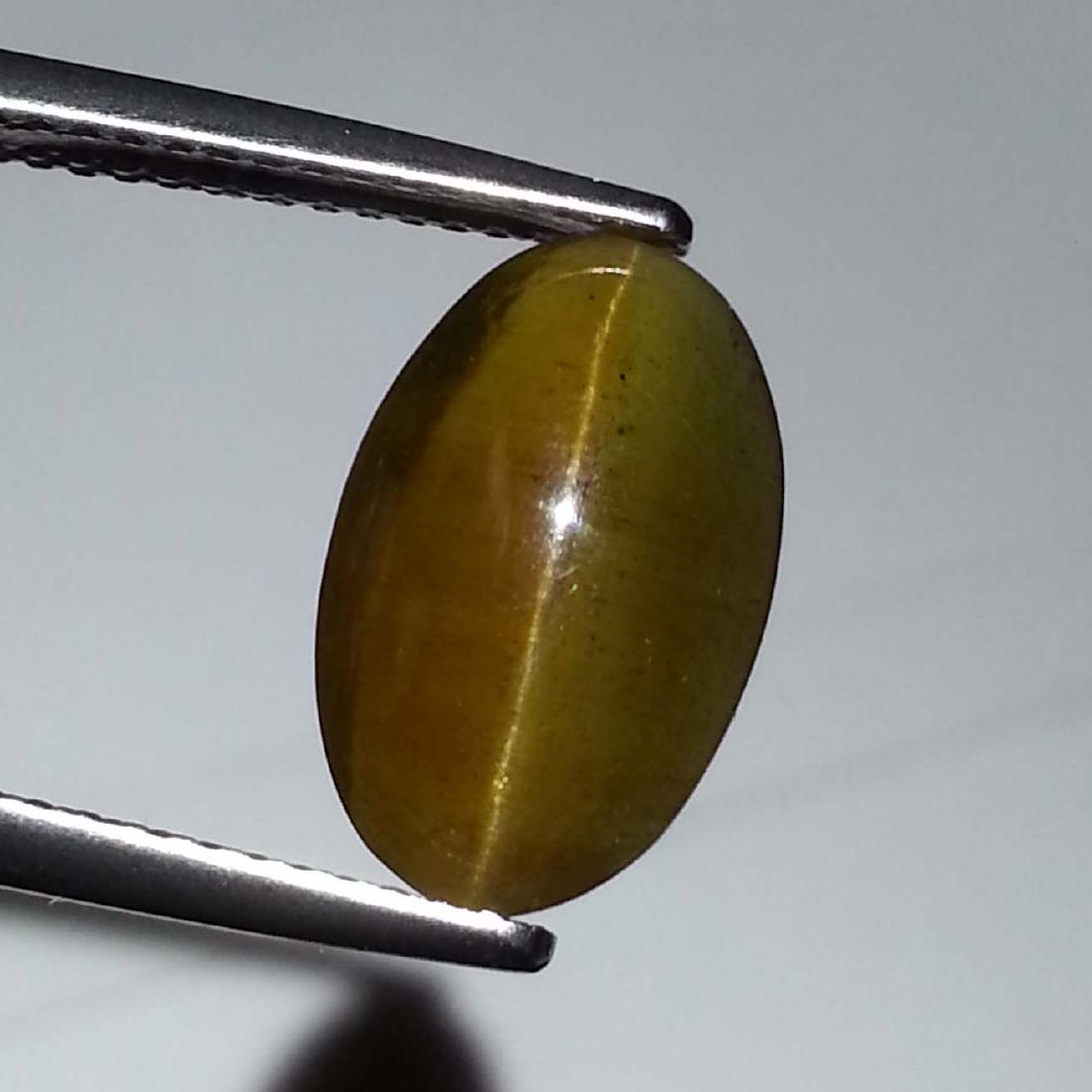 Top Grade Apatite cat's Eye - 4.01 ct: Item: Top Grade Apatite cat's Eye - 4.01 ct Color/Clarity: Semi -Transparent Loose gemstone Carat Weight: 4.01 Size (mm): 12.50 x 8.05 x 4.70 Oval - Africa No Reserve: This lot starts at $1 and has no
