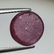 Fantastic Gem Round Cabochon Natural Star Ruby - 11.32 - 5