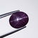 Top Quality Six Ray Natural Star Garnet - 6.69 ct