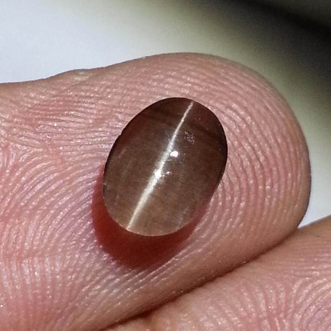 Top Eye Sillimanite Cat's Eye - 1.58 ct: Item: Top Eye Sillimanite Cat's Eye - 1.58 ct Color/Clarity: Transparent Loose gemstone Carat Weight: 1.58 Size (mm): 8.15 x 5.95 x 3.50 Oval - Africa No Reserve: This lot starts at $1 and has no rese