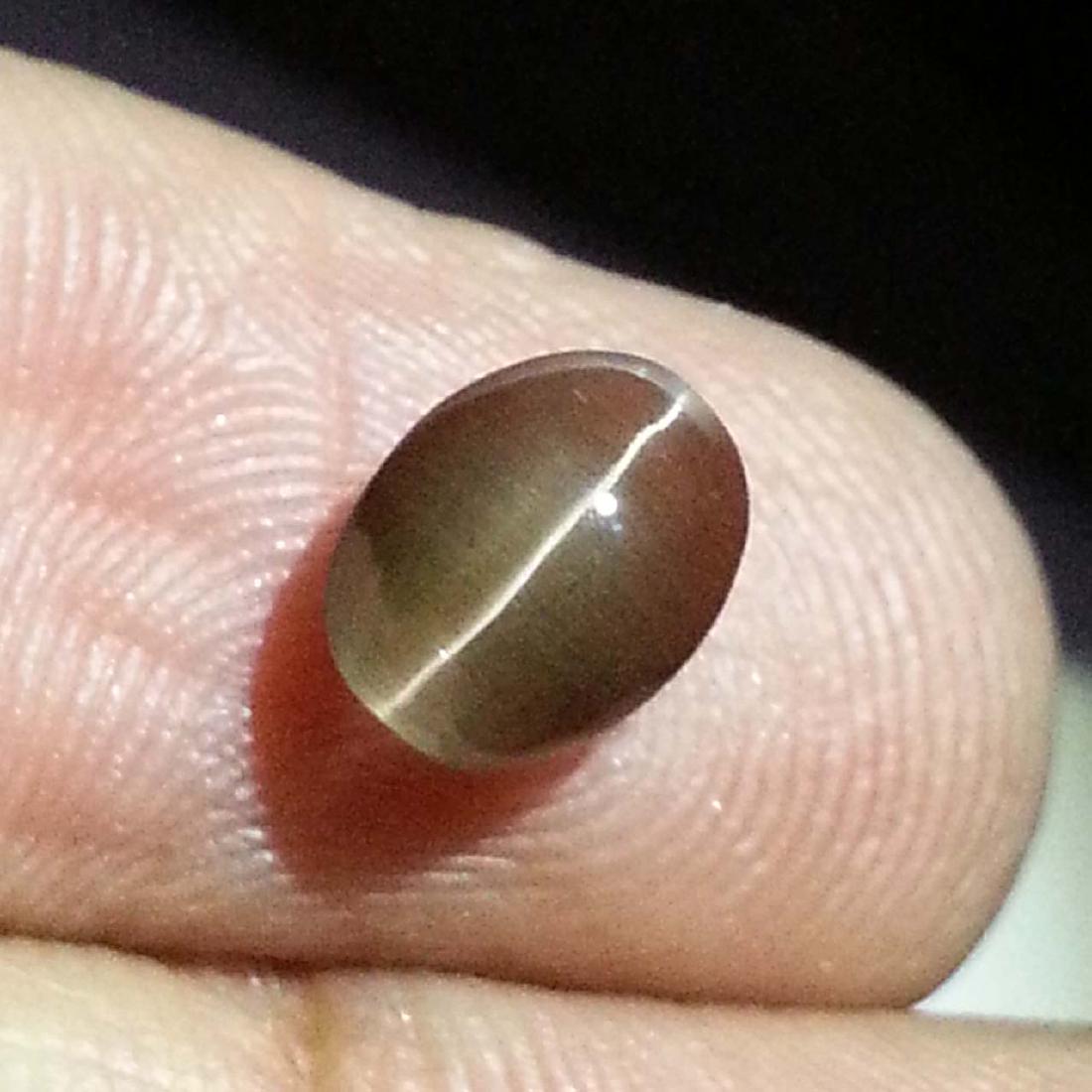 Natural Sillimanite Cat's Eye - 1.94 ct: Item: Natural Sillimanite Cat's Eye - 1.94 ct Color/Clarity: Transparent Loose gemstone Carat Weight: 1.94 Size (mm): 8.20 x 6.15 x 4.05 Oval - Africa No Reserve: This lot starts at $1 and has no rese