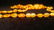 Genuine Egg yolk- Royal colour long Baltic amber - 2