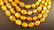 Genuine Egg yolk- Royal colour long Baltic amber - 5