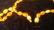 Genuine Egg yolk- Royal colour long Baltic amber - 9