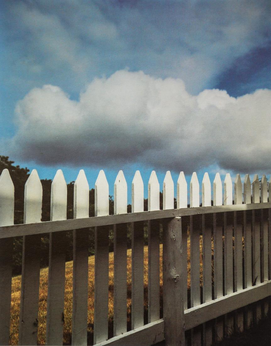 JOEL MEYEROWITZ - Truro, Cape Cod, 1976: Artist: Meyerowitz, Joel Title: Truro, Cape Cod, 1976 Medium: Photo Litho, 1984, USA Dimensions: 7.1x8.85" Heat Wax Mounted on 11x14" Conservation Board Please note that this lot has a confidential re