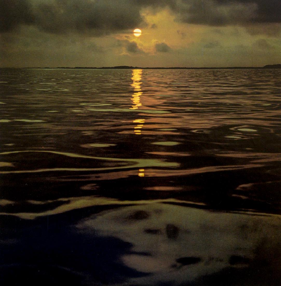 ELIOT PORTER - The Flow of Wildness: Artist: Porter, Eliot Title: The Flow of Wildness Medium: Photo Litho, 1968, England Dimensions: 9.45x9.5" Heat Wax Mounted on 14x18" Conservation Board Please note that this lot has a confidential re