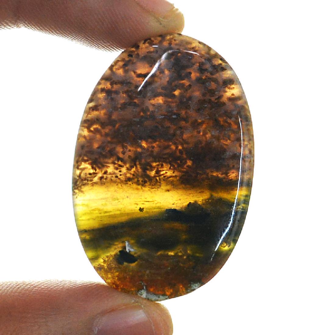 Multicolor Moss Agate Gemstone (1 of 2)
