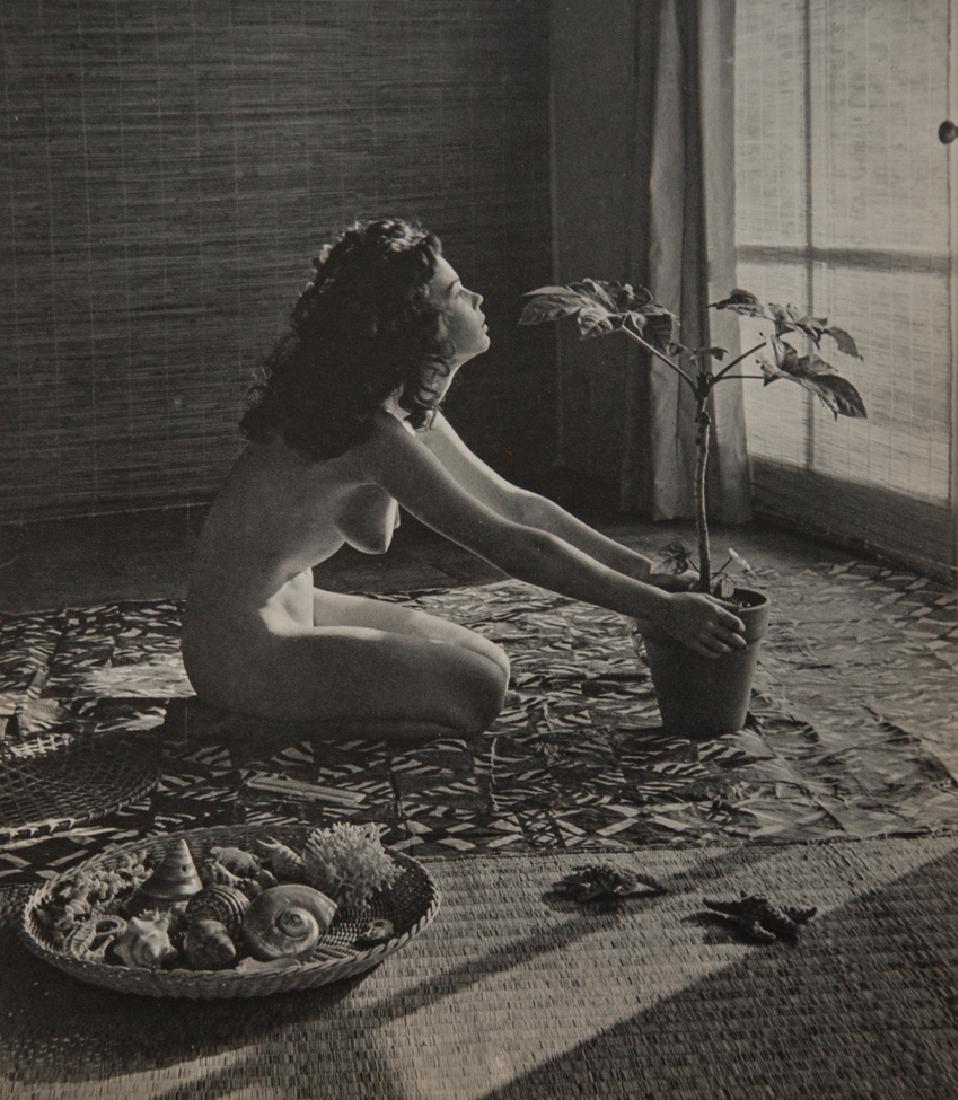 ANDRE DE DIENES - Nude With Plant: Artist: De Dienes, Andre Title: Nude With Plant Medium: Sheet Fed Gravure, 1950s, France Dimensions: 8.25x9.5" Heat Wax Mounted on 12x16" Conservation Board Andre De Dienes was a Hungarian photographe