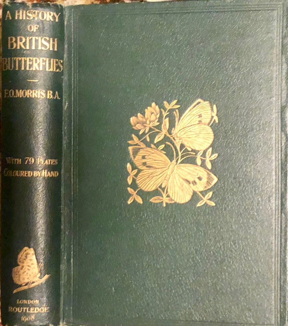 1908 F.O.Morris HISTORY of BRITISH BUTTERFLIES (1 of 10)