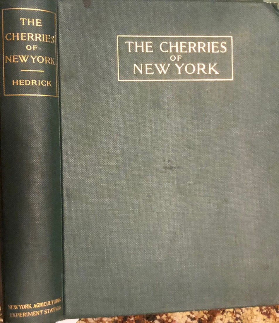 1915 The CHERRIES OF NEW YORK by U. P. HEDRICK - (1 of 10)